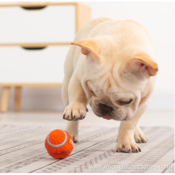Hot selling best dog toy ball
